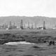 Illustration for article titled The La Brea Tar Pits Remind Us That Los Angeles is an Ancient City